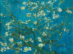 Van Gogh's Almond Blossom Art Print