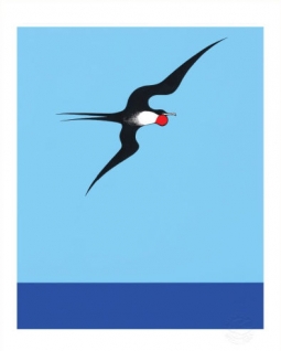 Pacific Frigate Bird by Don Binney