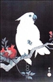 Ukiyo-e Parrot by  Unknown