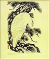 Eagle by  Sekkyo