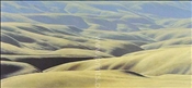 Hinterland III by Grahame Sydney