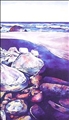 Life's River by Jane Puckey