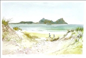 Ruakaka Beach by Douglas Chowns