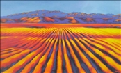 Brancott Valley - Marlborough 2 by Rachel McRobb
