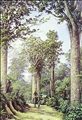 Ancient Kauri by Jeanette Blackburn