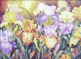 The Beauty of Summer by Jeanette Blackburn