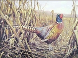 Autumn Harvest by Jeanette Blackburn