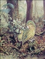Kakapo & Chick by Jeanette Blackburn