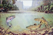Crystal Clear Waters by Jeanette Blackburn