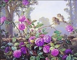 Fantail Chicks by Jeanette Blackburn