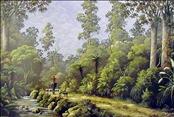 Kauri Country by Jeanette Blackburn