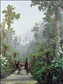 The Pack Man by Jeanette Blackburn
