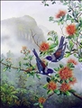 Tui on Rata by Jeanette Blackburn