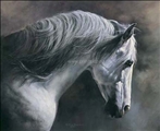 Conquistador by Julie Greig Conquistador by Julie Greig