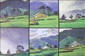 A House Appears by Peter Lambert