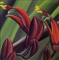 Flax by Diana Adams