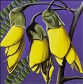 Kowhai by Diana Adams