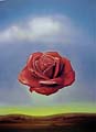 Meditative Rose 1958 by Salvador Dali
