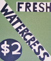 Trickle Down (Green) by Dick Frizzell