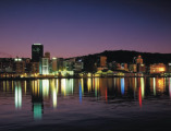 Wellington Lights Photograph