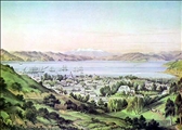 Wellington Harbour by C.D. Barraud
