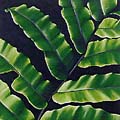 Fern by Diana Adams