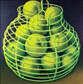 New Zealand Oranges by Michael Smither