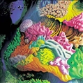 A Song of the Sea by Michael Smither