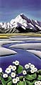 Diana Adams Mount Cook Canvas Print