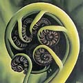 Koru by Diana Adams
