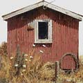 Portrait of a Shed by Barry Ross Smith