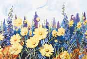 Yellow Cosmos and Blue Larkspurs by Hugh Brading