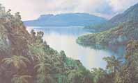 Tarawera by Graham Brinsley