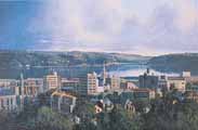 Dunedin by Graham Brinsley