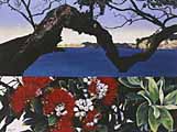 My Land by Jane Puckey My Land by Jane Puckey