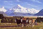 Glentanner Clydesdales by Peter Morath