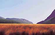 Eglinton Valley by Graham Brinsley