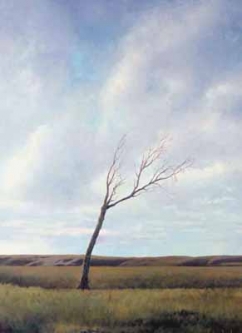 Chatham Island Lone Tree by Graham Brinsley