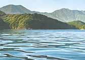 Marlborough Sounds 37 by Rick Edmonds