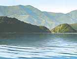 Marlborough Sounds 39 by Rick Edmonds