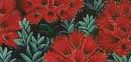 Pohutukawa Panorama Print on Canvas by Diana Adams