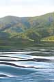 Marlborough Sounds Study 82 by Rick Edmonds
