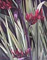 Flax by Kerry Fenton-Johns Flax by Kerry Fenton-Johns
