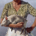 Little Swine by Barry Ross Smith