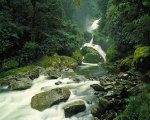 Milford Track Mackay Falls by Craig Potton