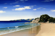 Abel Tasman Canvas Print by Linelle Stacey
