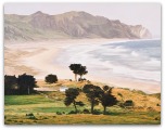Ocean Beach by Dick Frizzell