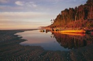 Bruce Bay - South West New Zealand World Heritage Area by Rob Brown