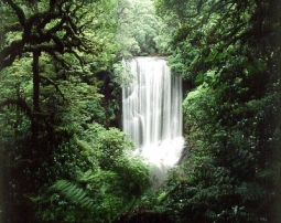 Korokoro Falls Te Urewera National Park by Craig Potton