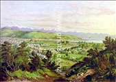 Nelson by C.D. Barraud